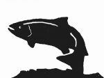 Leaping Salmon Weathervane or Sign Profile - Laser cut 450mm